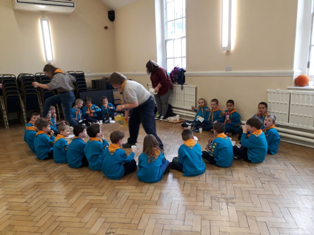 Busy Term for the River Beavers